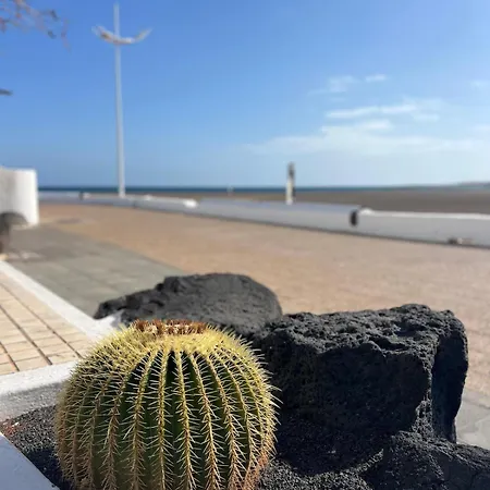 Appartamento Malvasia